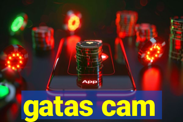 gatas cam