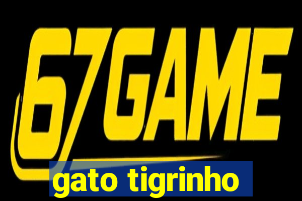 gato tigrinho