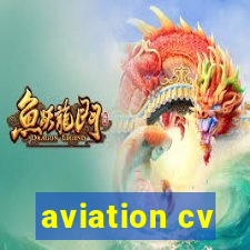 aviation cv