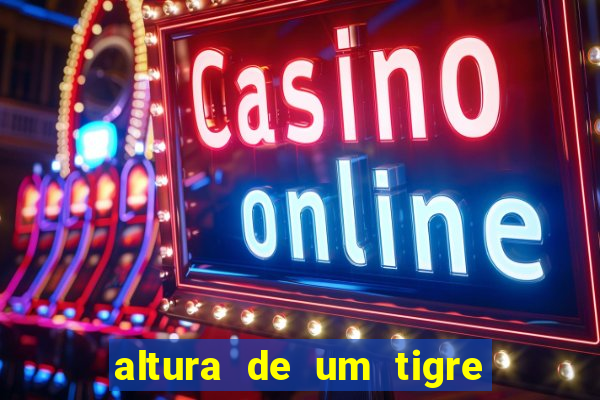 altura de um tigre em pé