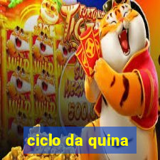 ciclo da quina