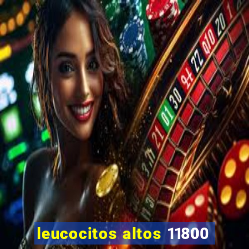 leucocitos altos 11800