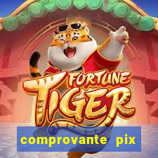 comprovante pix fake meme