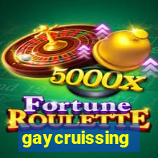 gaycruissing