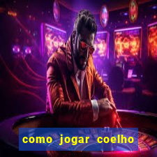 como jogar coelho da fortuna