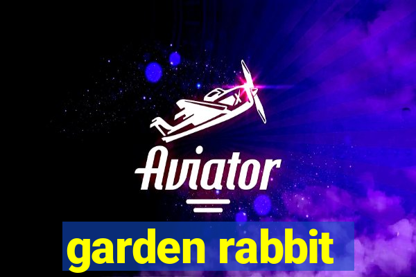 garden rabbit