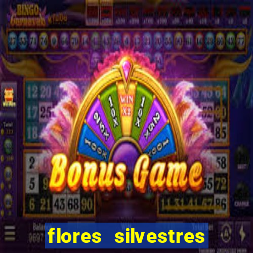 flores silvestres desbravadores desbravadores 25 flores silvestres e seus nomes