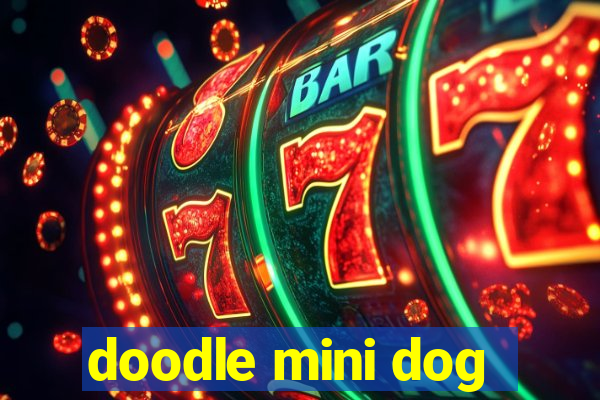 doodle mini dog