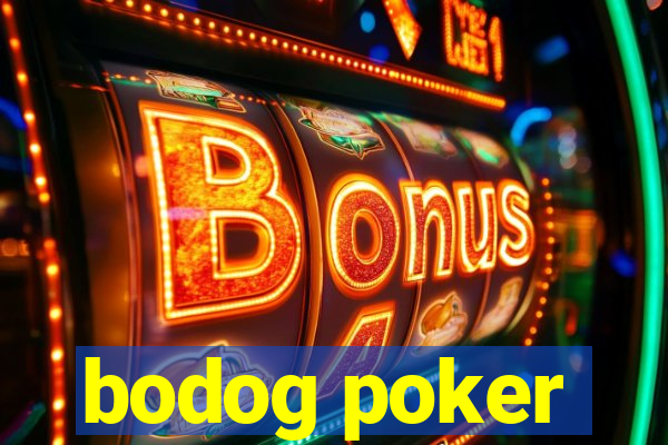 bodog poker