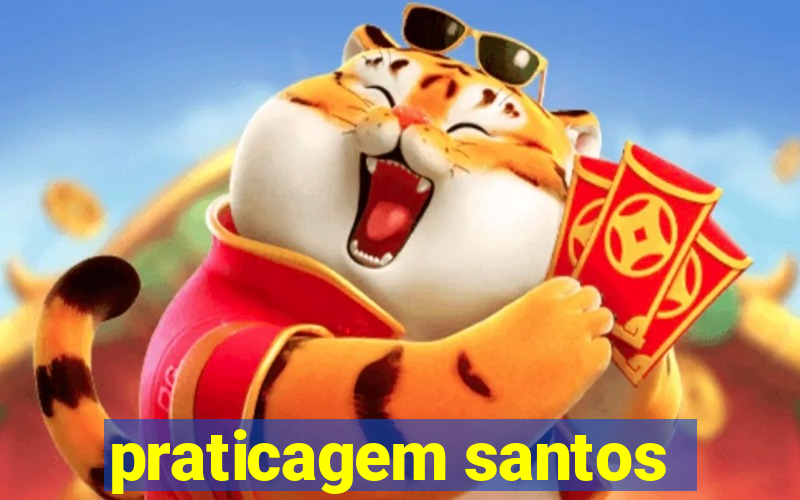 praticagem santos