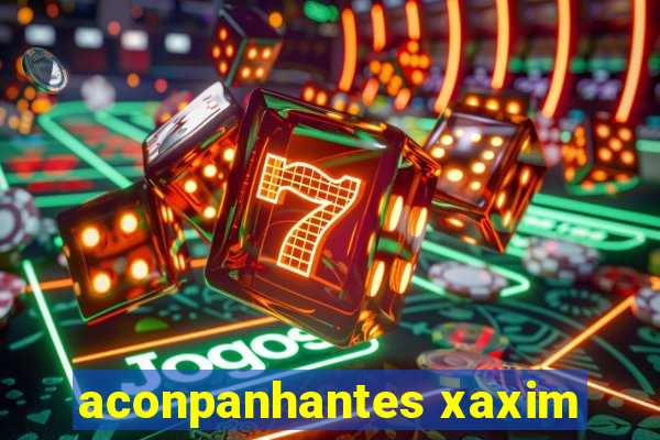 aconpanhantes xaxim