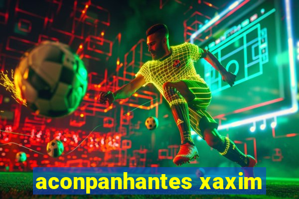 aconpanhantes xaxim