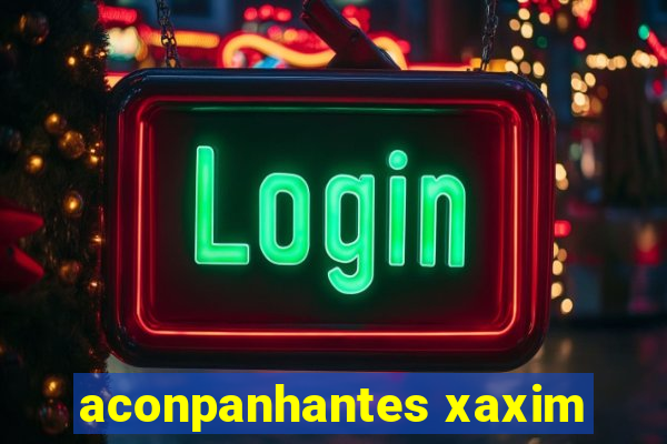 aconpanhantes xaxim