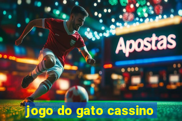 jogo do gato cassino