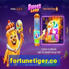 fortunetiger.com