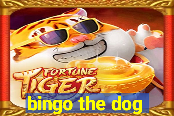 bingo the dog