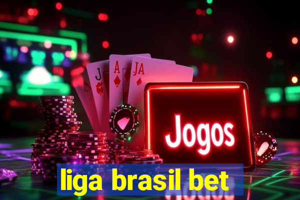 liga brasil bet