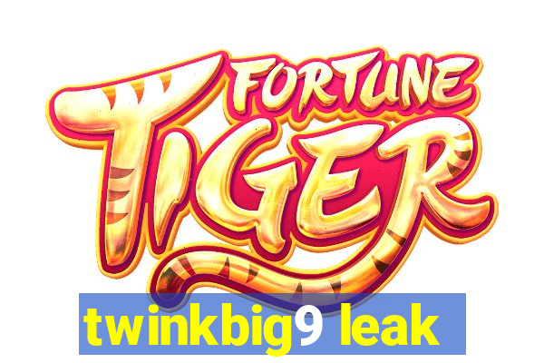 twinkbig9 leak