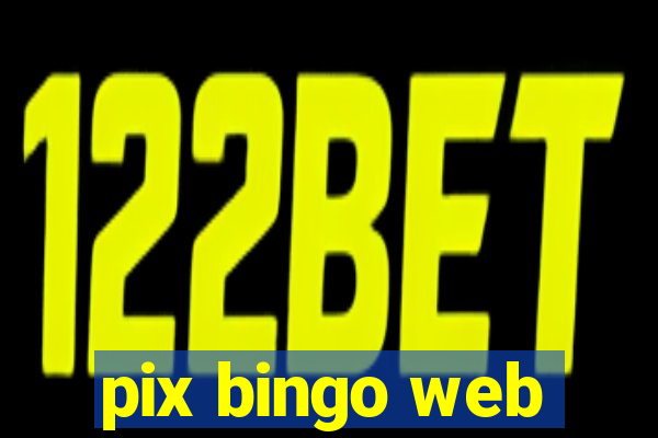 pix bingo web