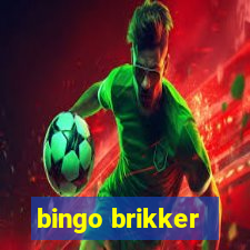 bingo brikker