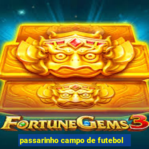 passarinho campo de futebol