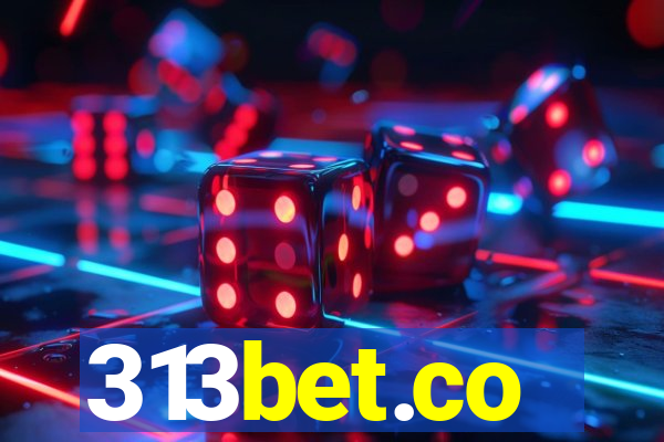 313bet.co