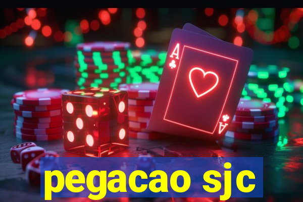 pegacao sjc