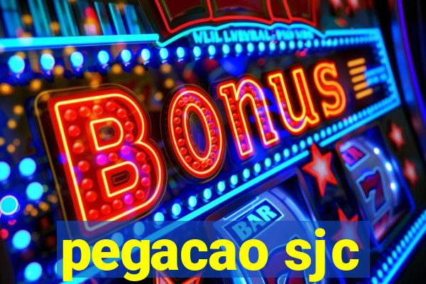 pegacao sjc