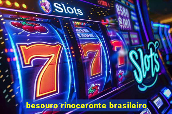 besouro rinoceronte brasileiro