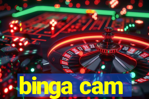 binga cam