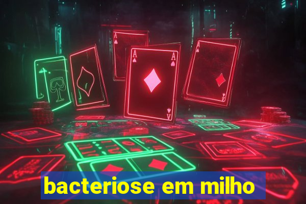 bacteriose em milho