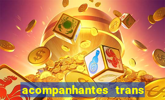 acompanhantes trans baixada fluminense