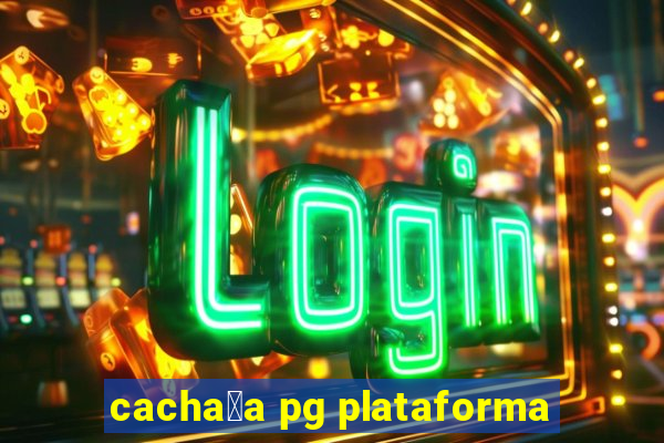 cacha莽a pg plataforma