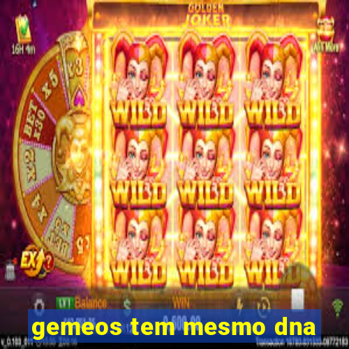 gemeos tem mesmo dna