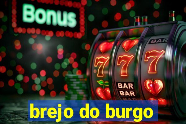 brejo do burgo