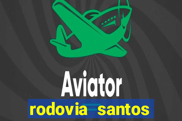 rodovia santos dumont 116