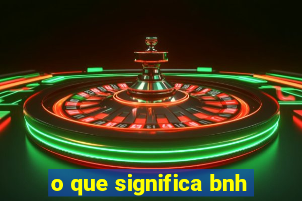 o que significa bnh