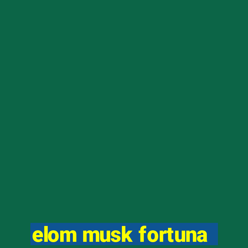 elom musk fortuna