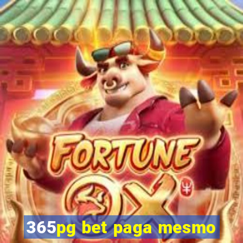 365pg bet paga mesmo