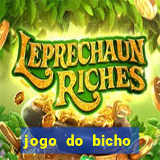 jogo do bicho aposta certa