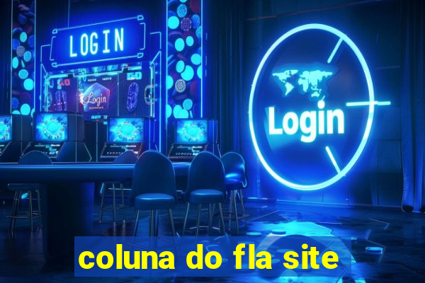 coluna do fla site