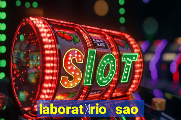 laborat贸rio sao paulo vilhena