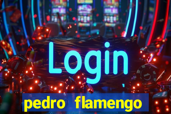 pedro flamengo antes e depois