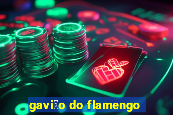 gavi茫o do flamengo