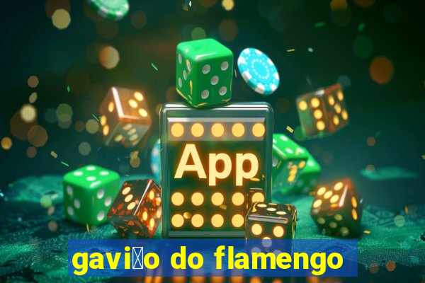 gavi茫o do flamengo