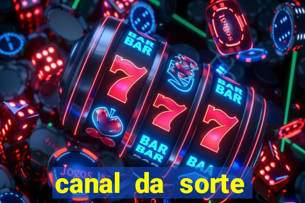 canal da sorte bingo de hoje