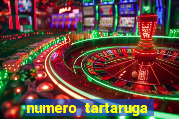 numero tartaruga jogo do bicho