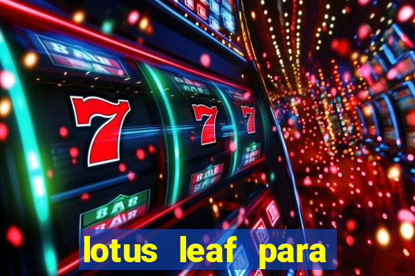 lotus leaf para que serve