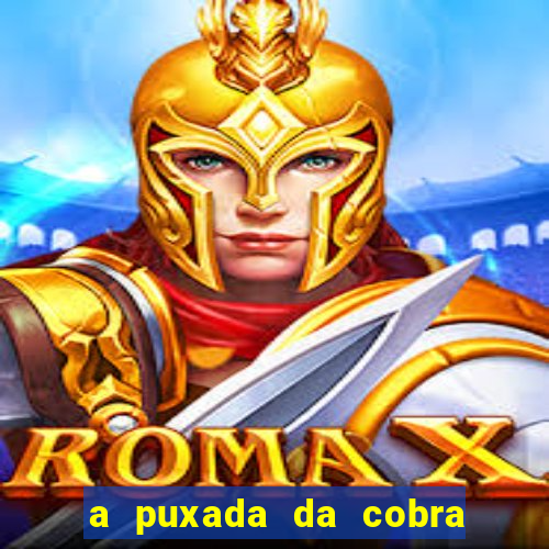 a puxada da cobra no jogo do bicho