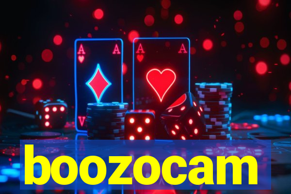 boozocam